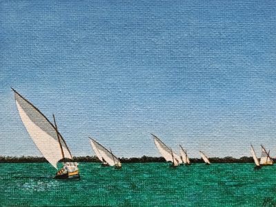 Albufera 38